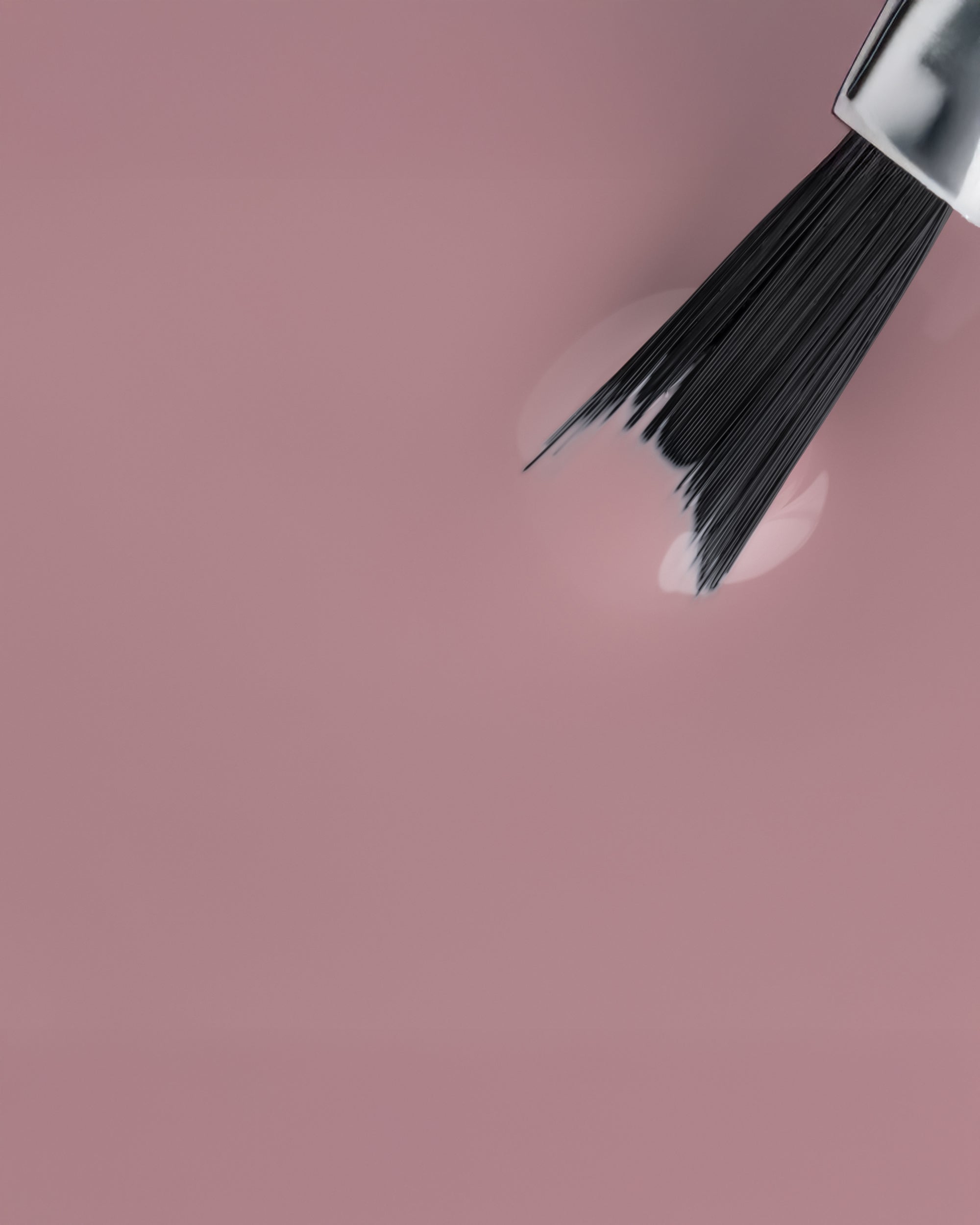 GELEGANT™ - 301 DAPHNE