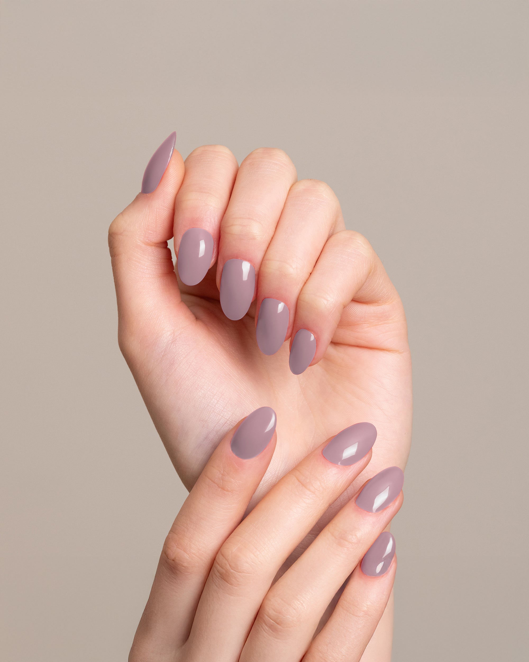GELEGANT™ - 301 DAPHNE