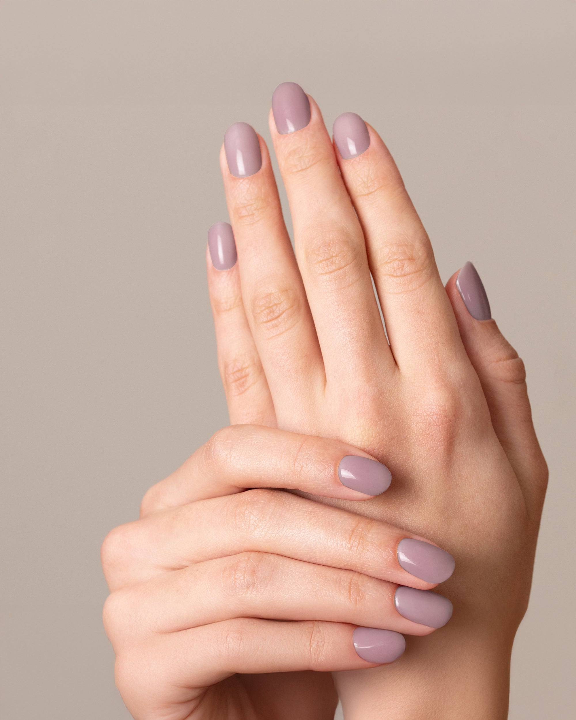 GELEGANT™ - 312 ANGORA